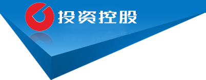 黑龙江省齐齐哈尔市铁锋区胶立流染料股份公司